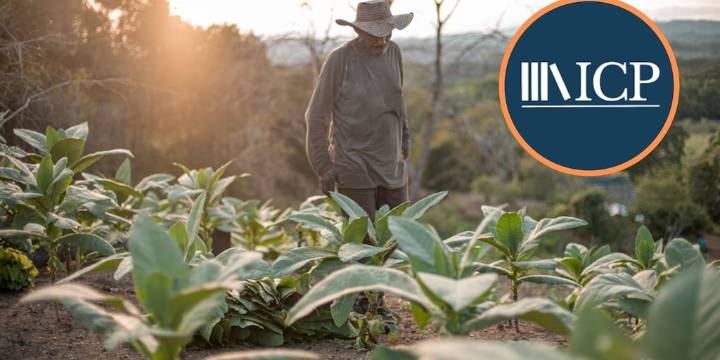 Instituto de Ciencia Política pide frenar proyecto de Jurisdicción Agraria por riesgo a la independencia judicial