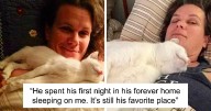 This Online Community Shares How Their Adopted Cats Looked Then & Now And It’s Heartwarming (27 Pics)