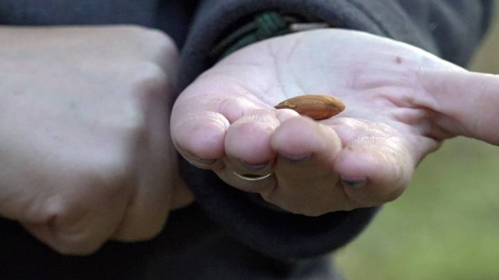 California farmers push back on Prop 50 redistricting plan