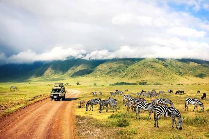 US issues urgent travel advisory for safari destination