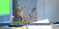UNL museum offers free admission through “Museums for All” program