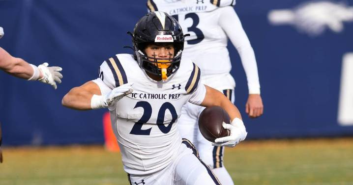 2025 IHSA playoffs: Steve Soucie’s Class 3A second-round analysis – Shaw Local