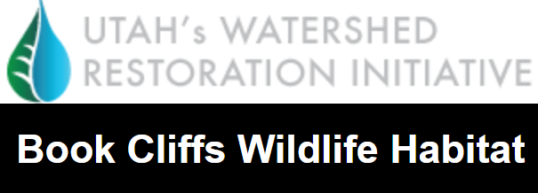 Book Cliffs Project To Improve Wildlife Habitat