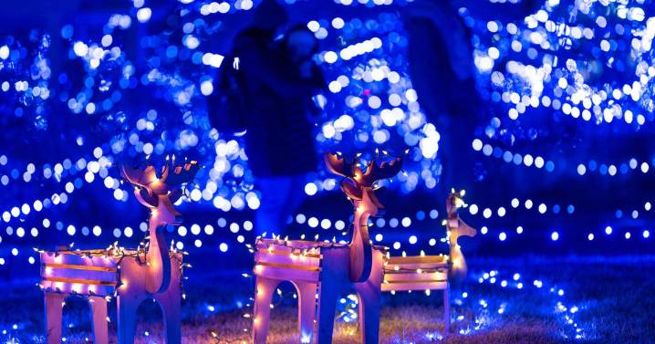 Entertainment Calendar: Dec. 3