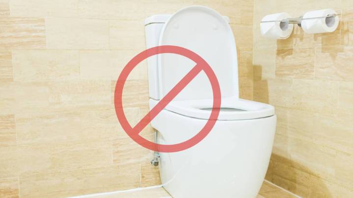 Ni el inodoro ni la cocina: este es el artefacto que acumula más microbios en una casa