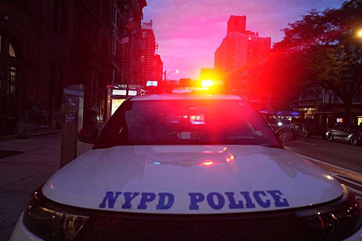 Queens cop shoots and kills pit bull over loose dog biting officer