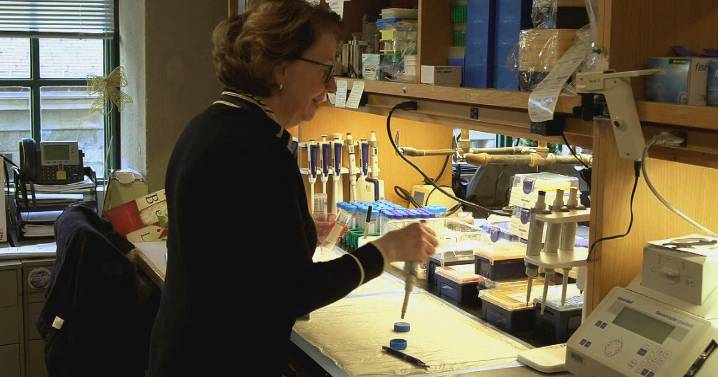 Boston researchers studying effects of 125-year-old tuberculosis drug on diabetes