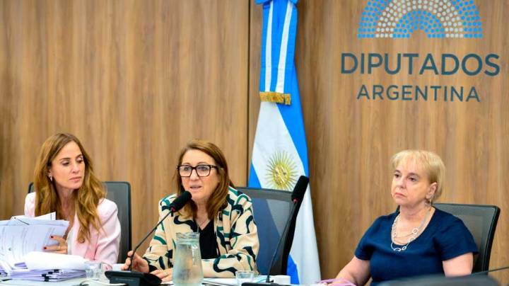 El ministro de Salud, Mario Lugones, no concurrió a la Comisión investigadora por el fentanilo adulterado