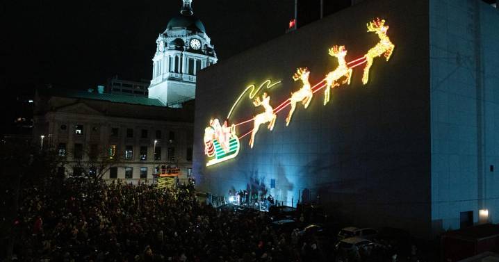 Crowds undeterred by blustery weather, gather for Fort Wayne's annual Night of Lights