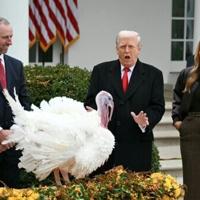 Talking turkey: Trump turns pardon ritual into political roast