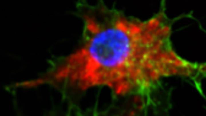 Scientists use nanotechnology to turn chemotherapy drug into cancer super cure