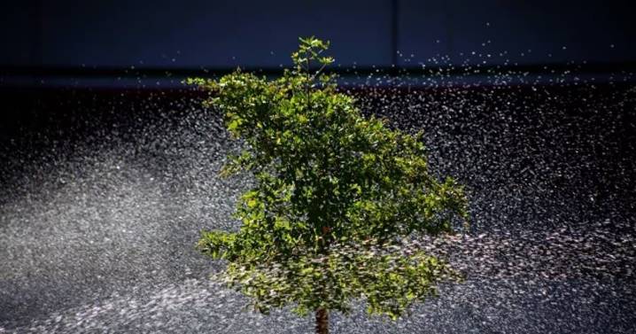 Noviembre iniciará con días soleados y temperaturas de hasta 34 grados centígrados