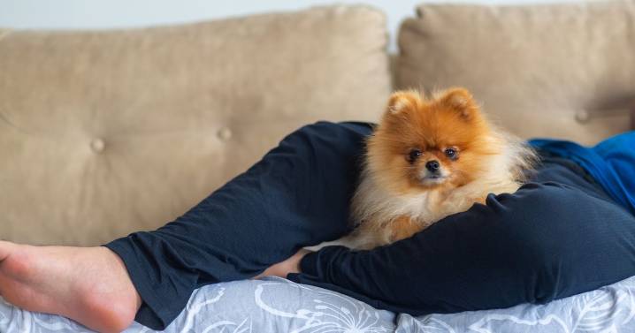 'My dog had an annoying habit but it actually saved my life'