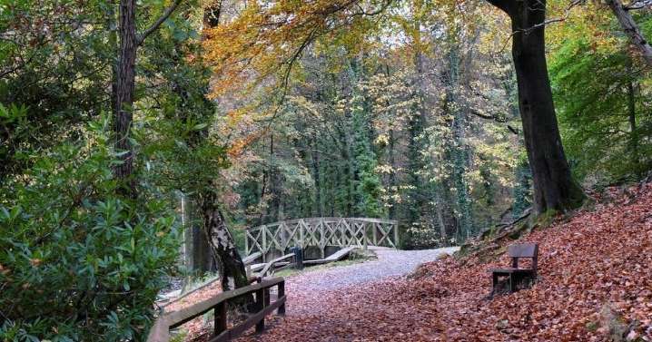 These four Welsh parks are the best in the UK