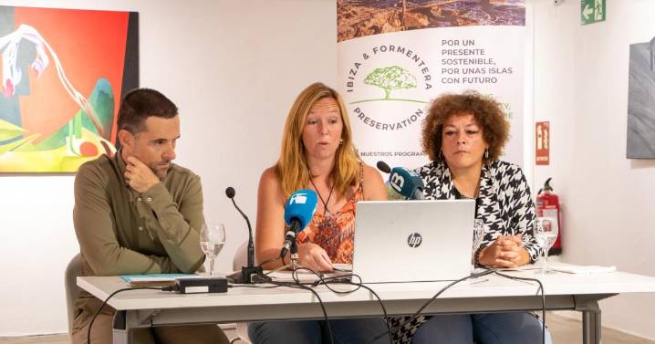 Los jets privados disparan las emisiones de CO2 en Eivissa