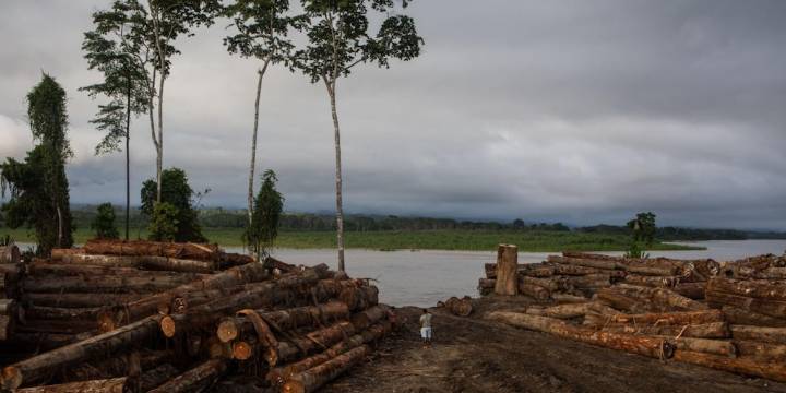 Crece lavado de activos por delitos ambientales, advierte la SBS