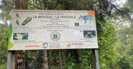 La Betulia–La Patasola: la reserva clave que protege el agua y la biodiversidad en Salento