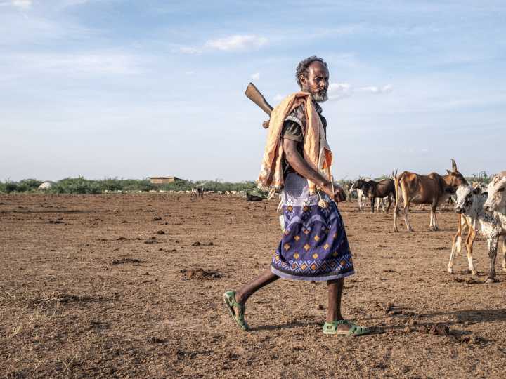 Non-native tree devastates Ethiopia’s ecosystems and threatens livelihoods