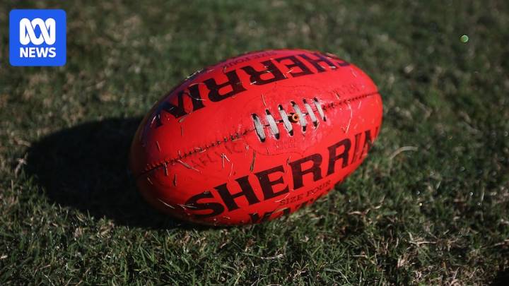 Osborne Park Football Club suspended for two years after Stephen Hawking costume controversy