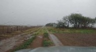 Lluvias: un sistema inestable dejó acumulados desiguales en el Litoral agrícola