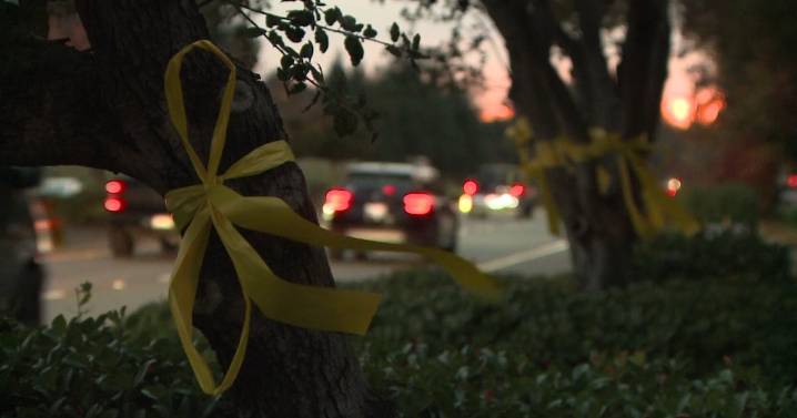 Granite Bay yellow ribbons honor troops far from home during the holidays