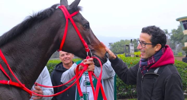 Inversión hípica desde US$ 350 en Perú: un nuevo nicho se abre en el país