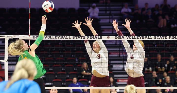 Prairie Ridge falls to Normal U-High in return to state – Shaw Local