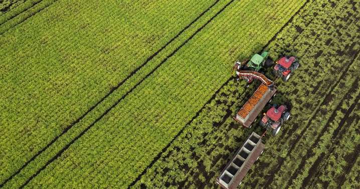 N.B. news: Canadian farmers gather for convention