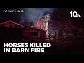 Seven horses killed when fire sweeps through barn in Massachusetts