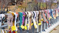The Scarf Project is Nov. 14 in Stark, Tuscarawas counties