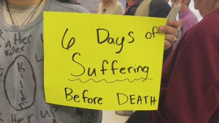 Court hearing for animal abuse case delayed after alleged death threats