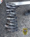 R.I. officials nab alleged undersized fish poachers from Mass.