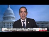 Jaime Raskin Hammers DOJ For Hiding Epstein Docs