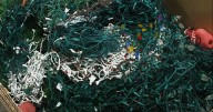 Covington launches annual holiday lights recycling program
