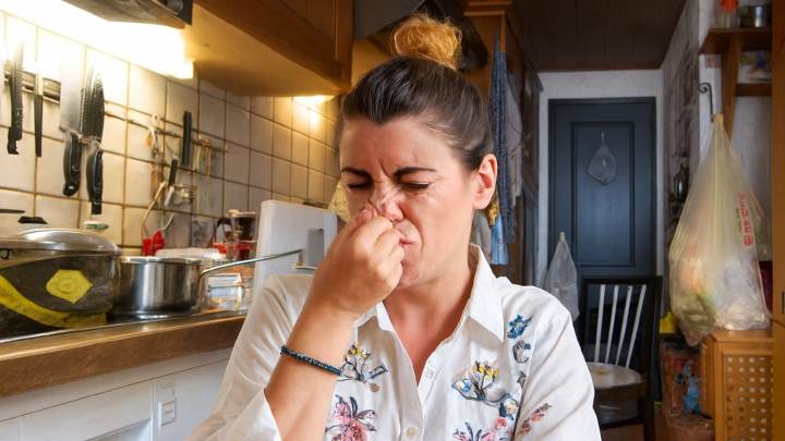 El secreto casero que haría que tu hogar huela a limpio; solo necesitas dos ingredientes