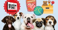 ¡Accesorios imperdibles para mascotas este Buen Fin!