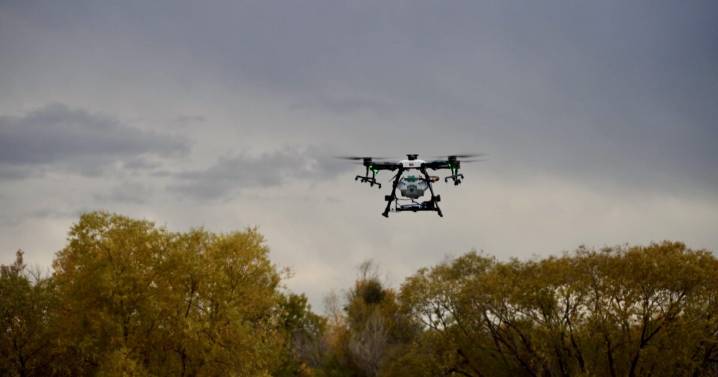 Solution in the sky: Weld County sees success using a drone to fight noxious weeds