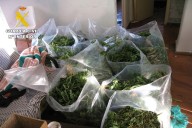 Desarticulada un grupo criminal dedicado a vuelcos de marihuana