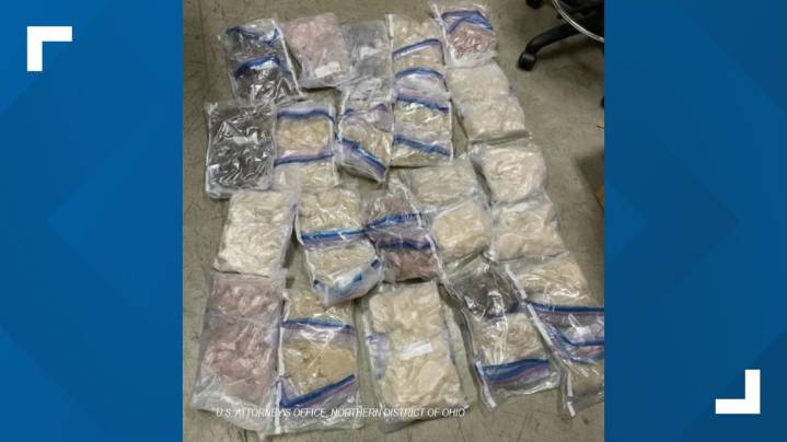 Canadian man sentenced to prison for possessing 90 pounds of ecstasy found in vehicle at Ohio Turnpike service plaza