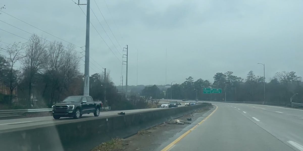 Drivers see an increase in deer collisions the week after daylight savings