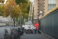 Robo en Louvre: dos detenidos son pareja con hijos; descartan relación con delincuencia organizada