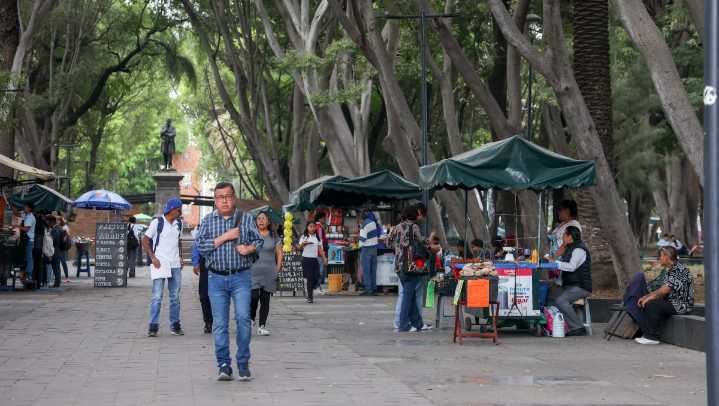 Paseo Bravo tendrá nueva imagen a partir del 1 de enero de 2026
