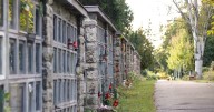 Ontario cemetery thieves would steal jewelry containing remains, discard them: police