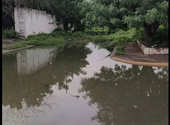 Crisis sanitaria en «Ciudad Peluche», de Salina Cruz, por abandono de planta tratadora de aguas residuales