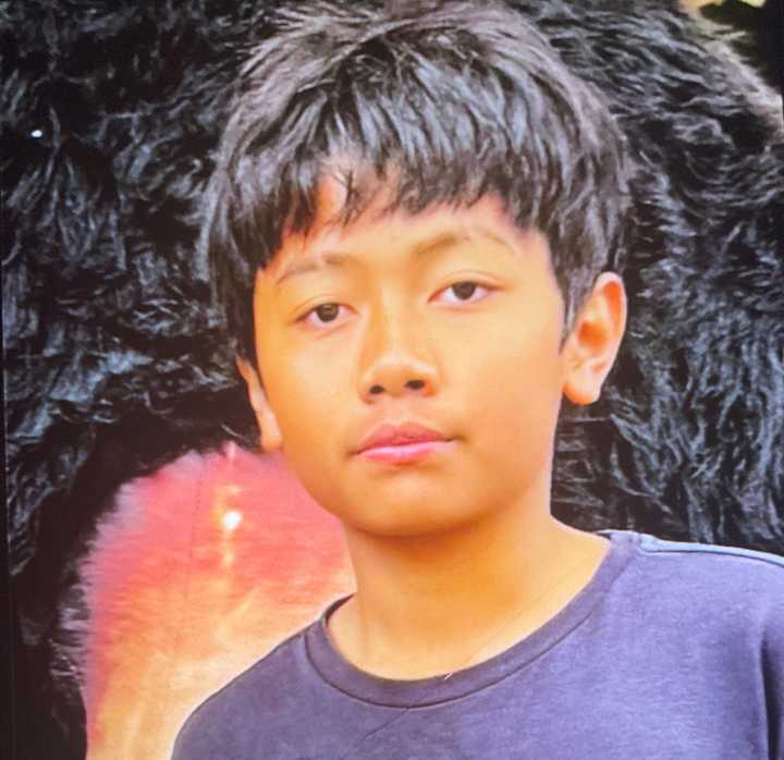 Missing boy, Everton Park