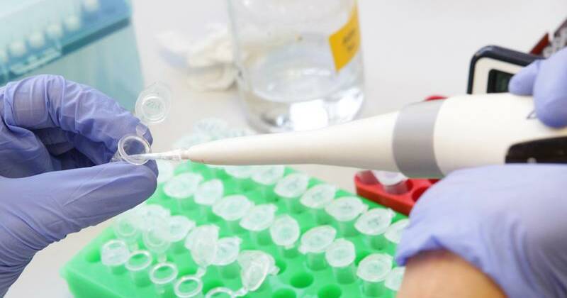 'Cloud' lingers in DNA contest over notorious murder