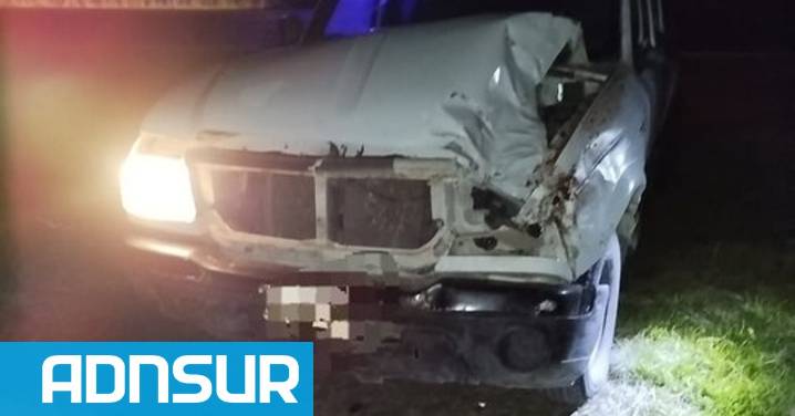 Accidente en Chubut: chocaron contra un caballo en la ruta y se salvaron de milagro