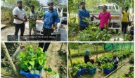 Agriculture Department Distributes Quality Fruit and Spice Saplings to Promote Sustainable Farming & Self