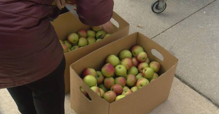 Family Service Rochester provides daily Meals on Wheels program