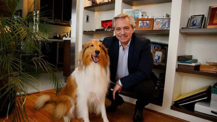 Murió Dylan, el perro de Alberto Fernández